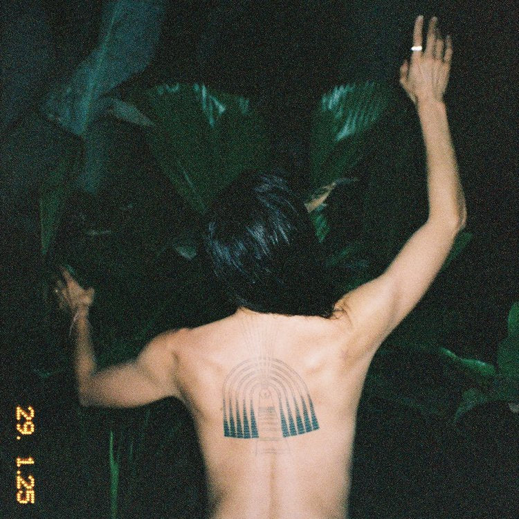 Night Blooming Flower