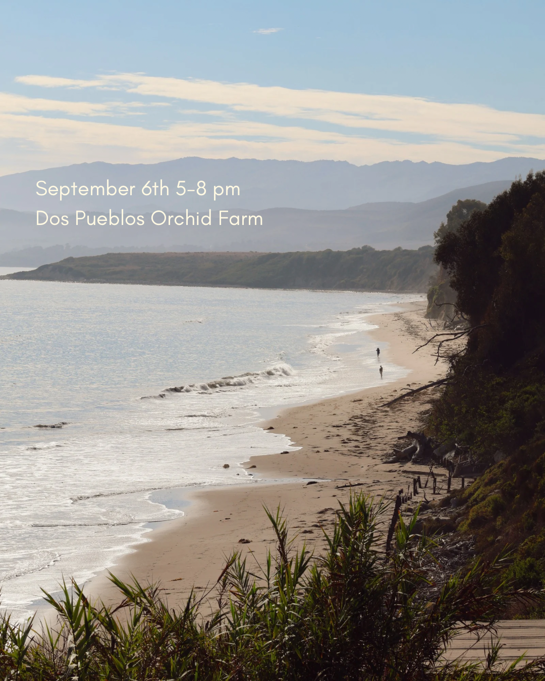 The Mirror with Palma Colectiva at Dos Pueblos Orchid Farm  / September 6th