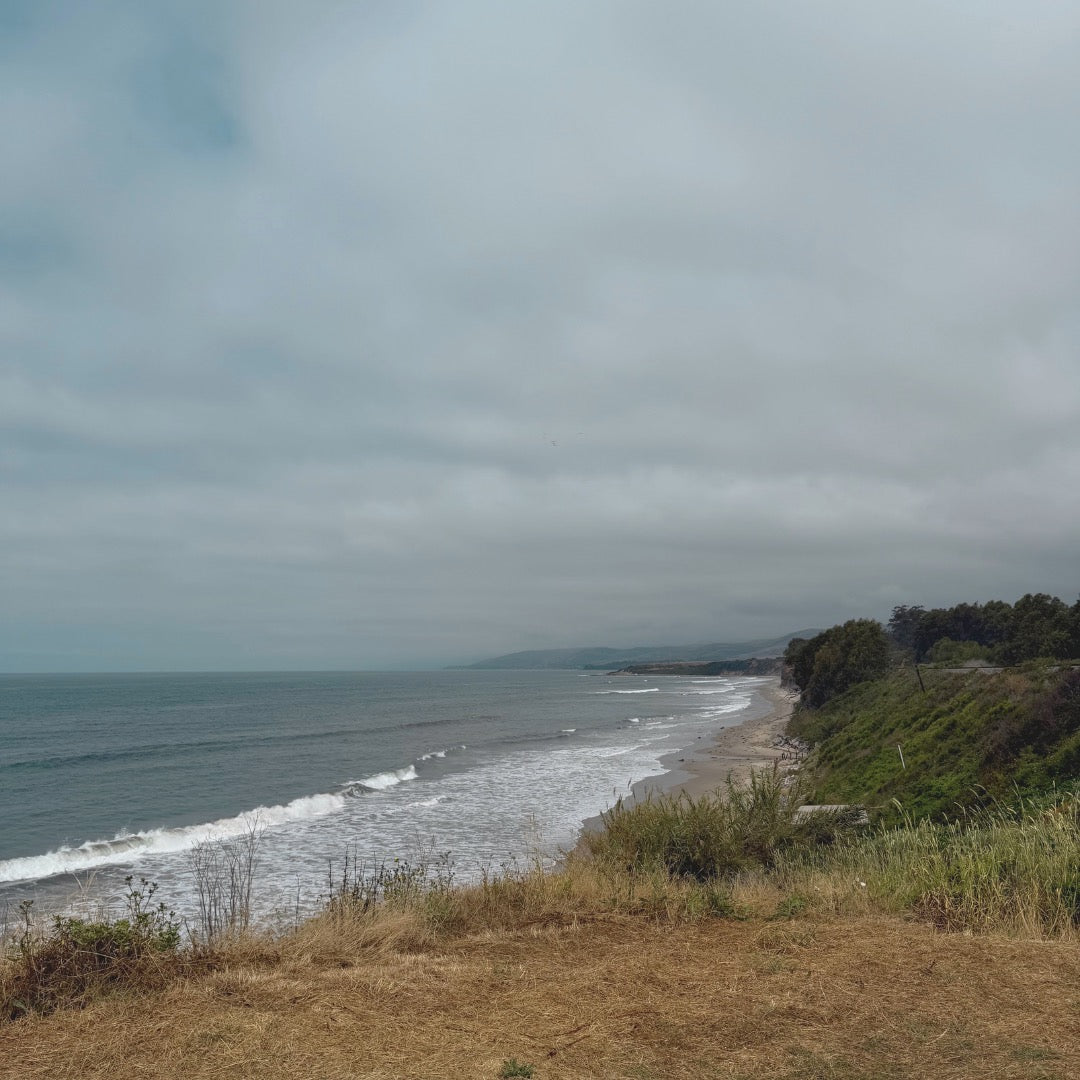 The Mirror with Carly Jo and Palma Colectiva at Dos Pueblos Orchid / Santa Barbara